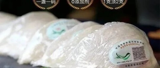 燕窝多钱一斤,燕窝的价格是多少