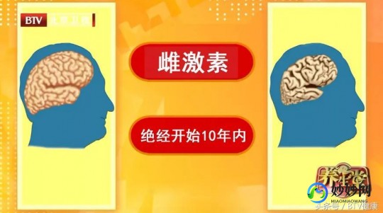 血脂高是什么,什么是高血脂