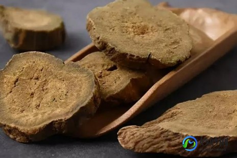 大黄产地,中药大黄的产地、性状、药用分别是什么？