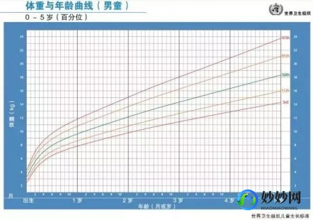 身高测量,如何标准测量身高