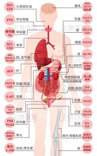 女性左腹隐痛要当心了,女性左腹疼痛怎么回事