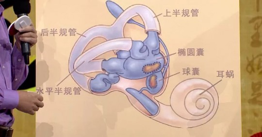 头晕 呕吐,头晕天旋地转恶心呕吐