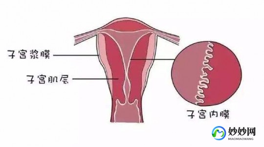 宫内膜增厚原因,子宫内膜厚是什么原因造成的