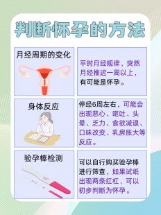 怎么知道怀没怀,如何确定自己是否怀孕