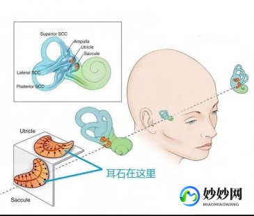 头晕目眩恶心,头晕天旋地转恶心呕吐