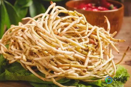 脊髓的作用,脊髓有什么作用