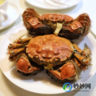 螃蟹要蒸几分钟,螃蟹蒸多久可以吃