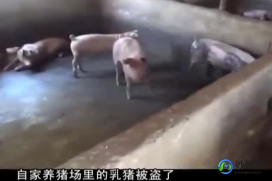 做dna亲子鉴定,怎么做亲子鉴定