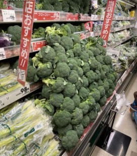 qq超市4店2口碑摆法,QQ超市_qq超市4店2口碑摆法,qq超市