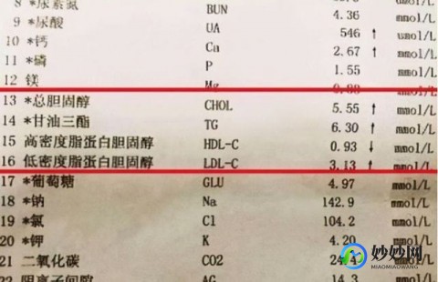 载脂蛋白b,载脂蛋白B偏高一点怎么回事,怎么办