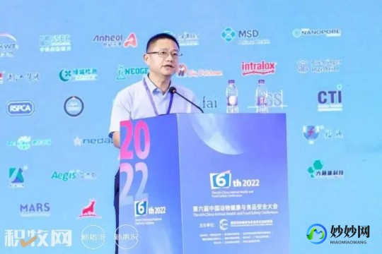 三国杀 盛大,盛大三国杀online,盛大三国杀online热血上线,策略之战再燃