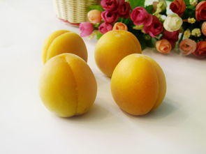 杏子孕妇能吃吗,怀孕能吃杏子吗