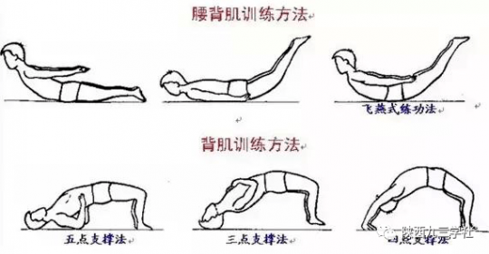术后康复,腰椎间盘突出术后康复锻炼