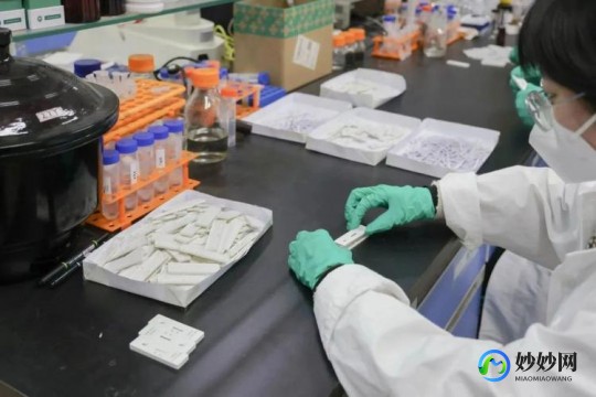 抗原试剂怎么使用,家用抗原试剂盒使用方法是什么