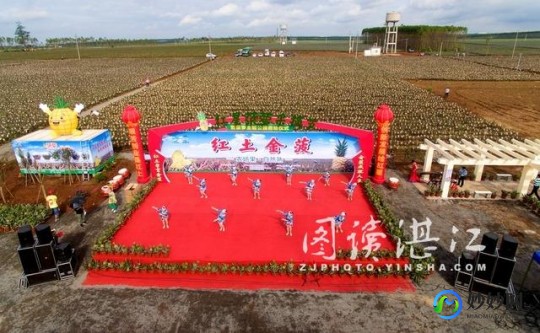 qq农场玩家,QQ农场,升级攻略与级别评估,打造繁荣农场