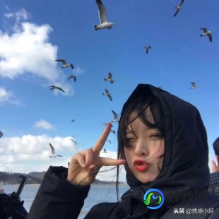 qq三合一,qq伴侣最新版,QQ伴侣三合一最新版,一站式社交娱乐新体验