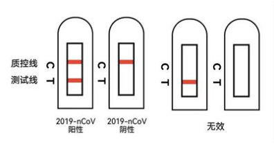 抗原结果怎么看,抗原检测阴性和阳性怎么看