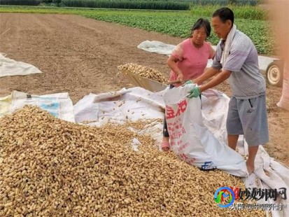 开封妇产医院,2024开封妇产医院孕妇建档流程-怀孕产检建卡材料