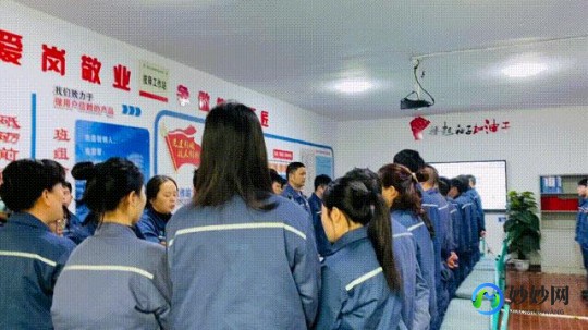 安全帽的发明受啄木鸟的启发,现代安全帽设计灵感揭秘,源自这种神奇动物!
