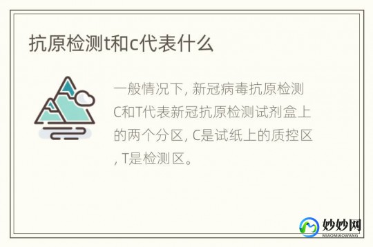 抗原结果怎么看,抗原检测ct怎么看