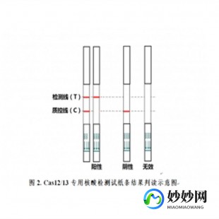 测核酸的试纸叫什么,什么是抗原试纸