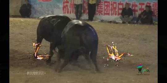 快银百人斗牛,快银百人斗牛,快银百人斗牛手游攻略,成为斗牛大师的秘诀