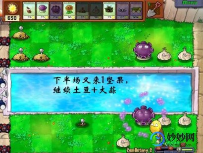3366小游戏植物大战僵尸2,攻略3366小游戏植物大战僵尸2全面解析