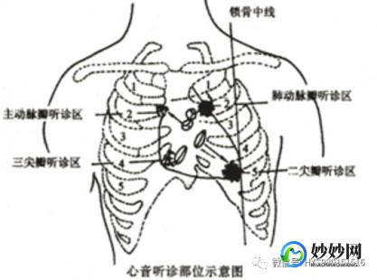 心肺听诊,心肺听诊是什么