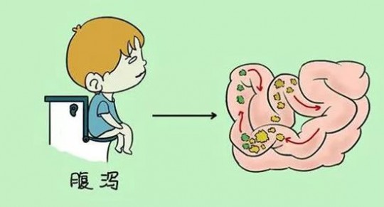 拉稀的原因,拉稀是因为什么