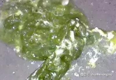 肝肿大怎么消除最快,肝脏肿大怎么治疗
