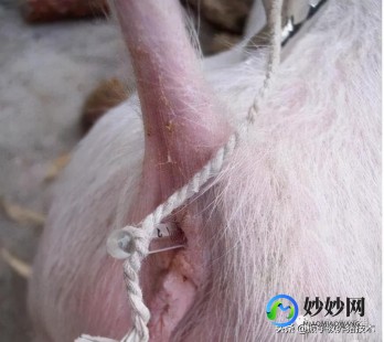 正常体温一览表,人体正常温度多少