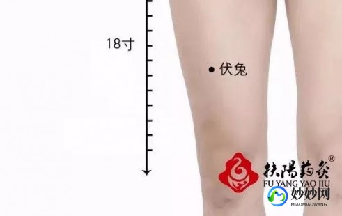 象腿病,大象腿是什么病