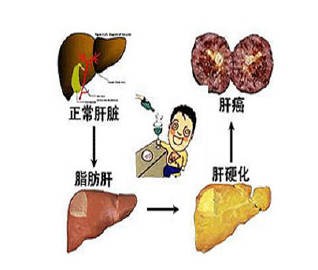 长期熬夜切掉半个肝,肝脏切除一小部分对身体有影响吗