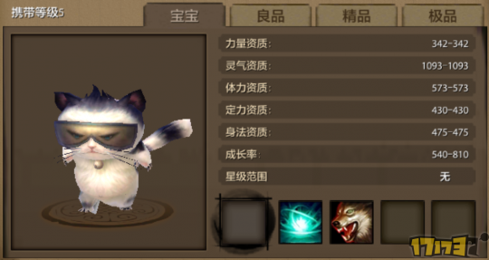 天龙八部墨镜猫,天龙八部墨镜猫,天龙八部手游墨镜猫神秘攻略,打造你的江湖