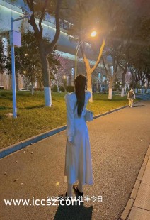 不知火舞之公园狂欢,不知火舞之公园狂欢手游深度攻略,舞动魅力,畅享公园狂欢