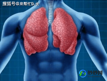 836279,慢性胸膜炎症状有哪些