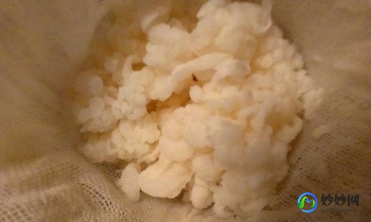 雪莲菌的危害,雪莲菌可以长期喝吗