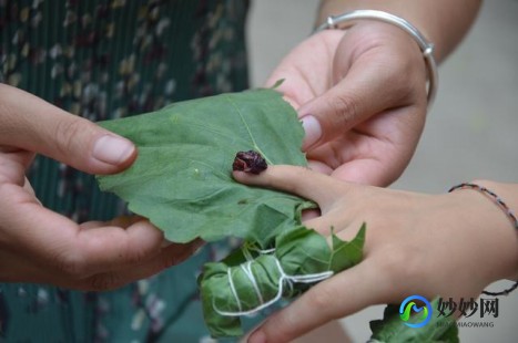 凤仙花如何治灰指甲,用凤仙花治灰指甲最快