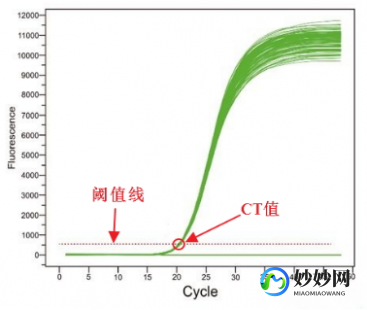 核酸检测ct值正常范围,CT值多少为阴性
