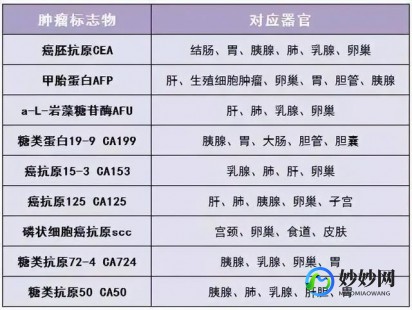 癌症指标,癌细胞主要看哪个指标