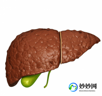 肝出血,肝脏出血能治愈吗