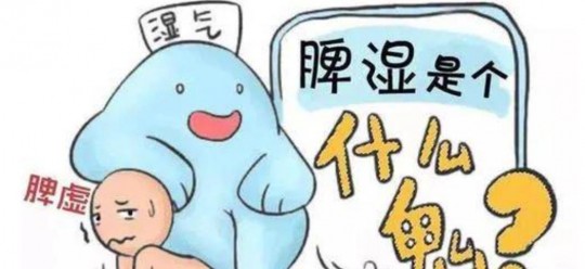 脾虚湿盛,脾虚湿盛是什么意思
