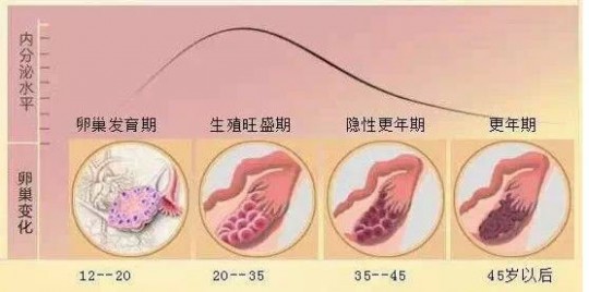雌激素低怎么办,雌激素低怎么调理回来