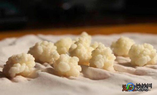 雪莲菌的功效与作用,雪莲菌可以长期喝吗