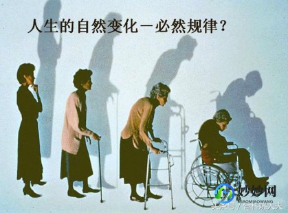 鲑鱼降钙素喷鼻剂价格,鲑鱼降钙素喷鼻剂