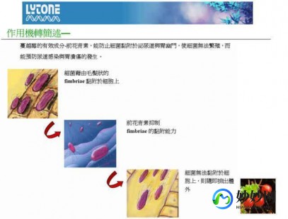 卵巢早衰试管最好医院、卵巢早衰哪个医院做试管比较好