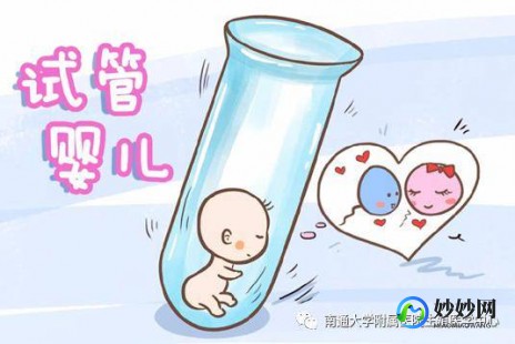 2VF助孕试管—助孕试管