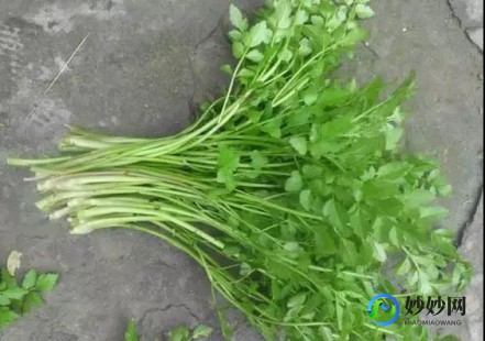 黄花菜的营养价值,黄花菜的营养成分有哪些