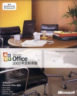 office 2003 精简版,office 2003 精简版,Office 2003精简版,办公与游戏的双赢