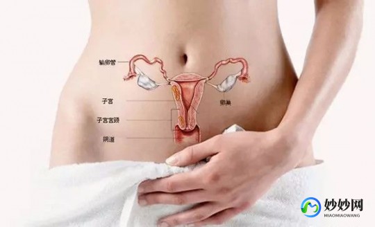 切除子宫不能怀孕吗吗、子宫切除不能怀孕了吗